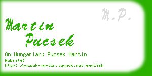 martin pucsek business card